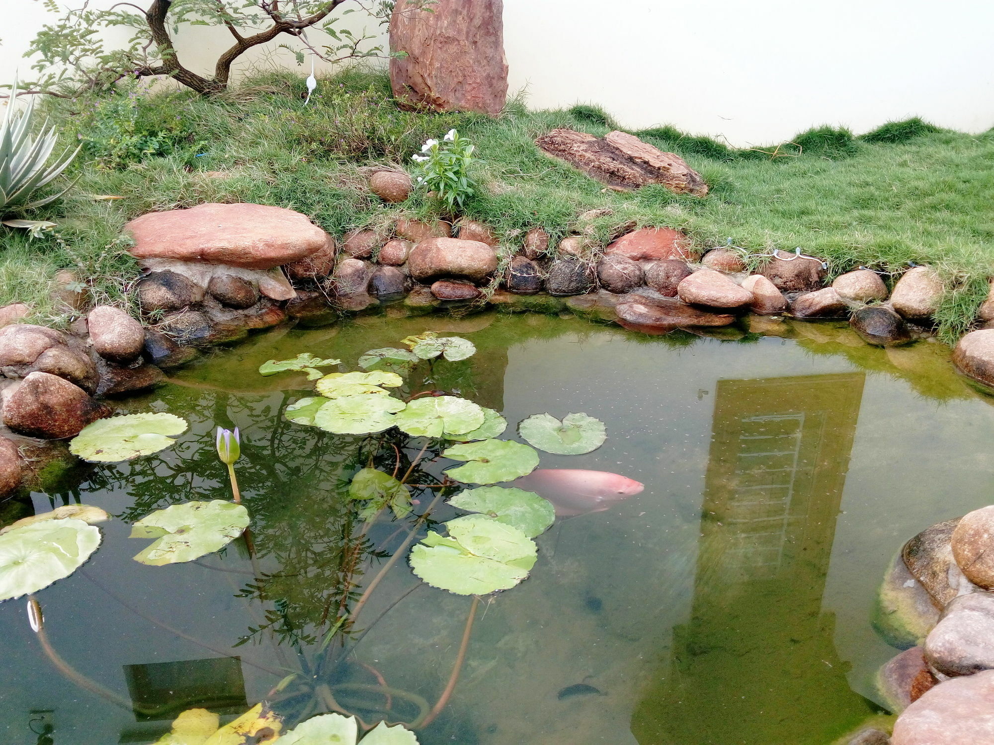 The Field Homestay Hoi An Luaran gambar
