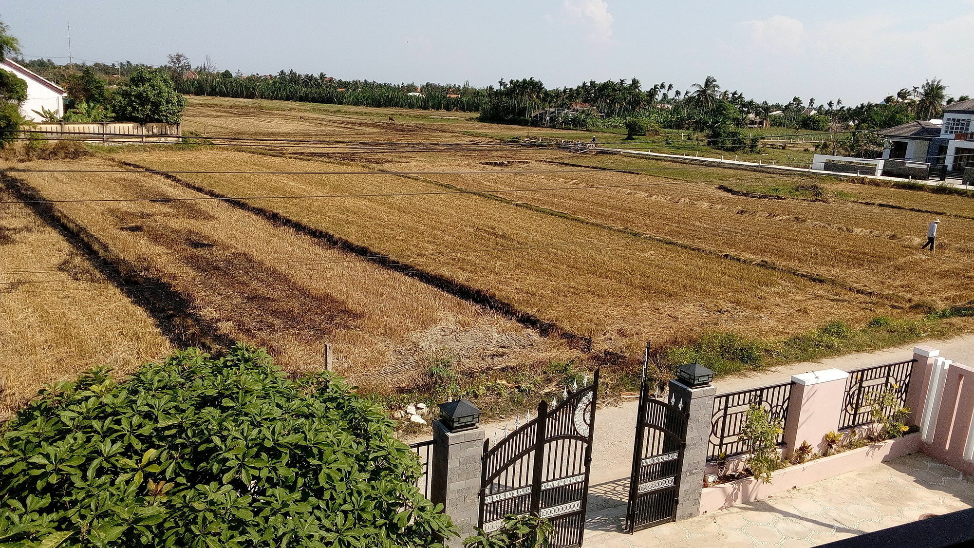 The Field Homestay Hoi An Luaran gambar